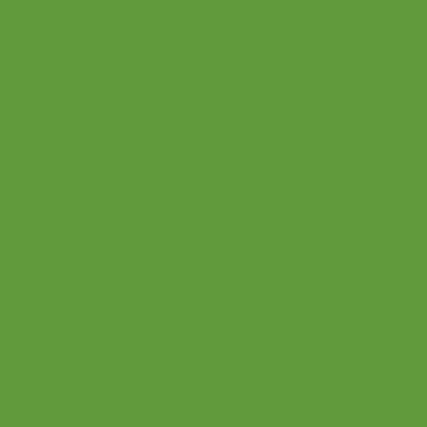 Yellow Green Gloss (RAL 1021)